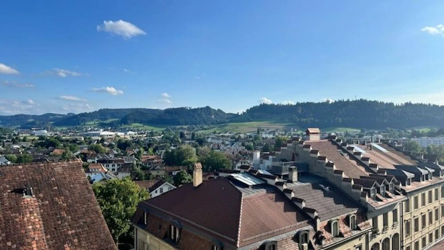 Appartement sous les combles de 1,5 pièce dans un bâtiment historique - Photo 2 sur 15
