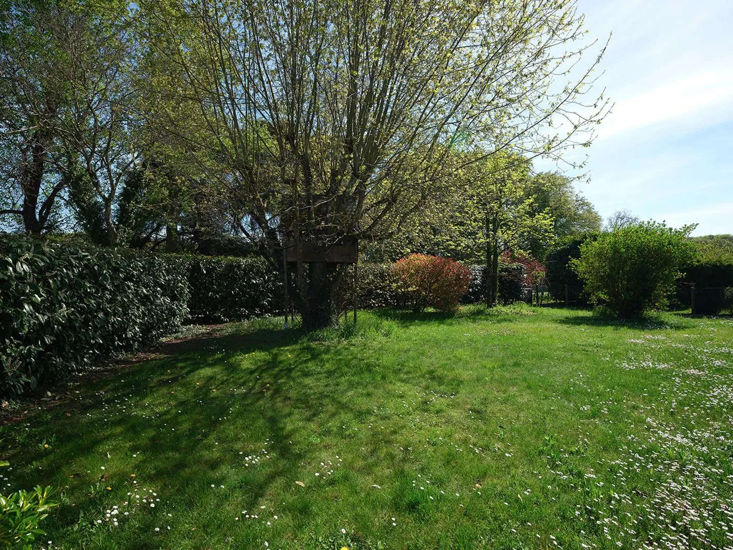 In esclusiva - Casa bifamiliare con grande giardino - Foto 10 di 12