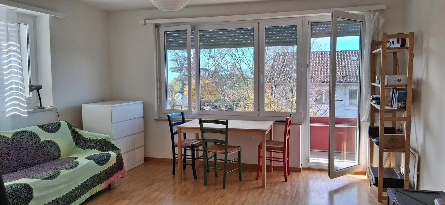 APPARTAMENTO 3 LOCALI A ZURIGO - DISTRETTO 7, ARREDATO, TEMPORANEO - Foto 6 di 10