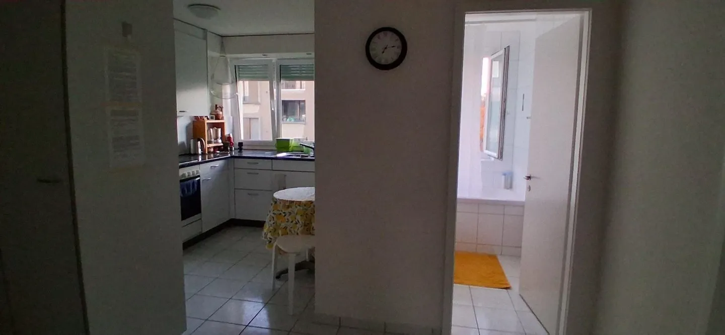 APPARTAMENTO 3 LOCALI A ZURIGO - DISTRETTO 7, ARREDATO, TEMPORANEO - Foto 7 di 10