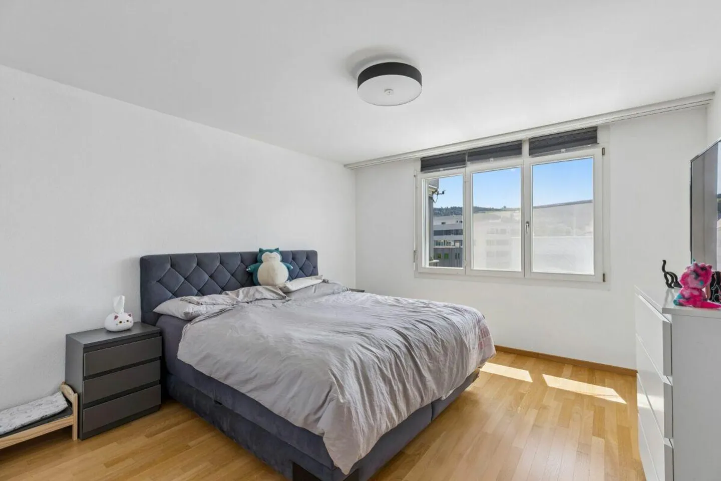 Modern 4.5 Room Apartment in the Heart of Rotkreuz - Photo 14 of 20