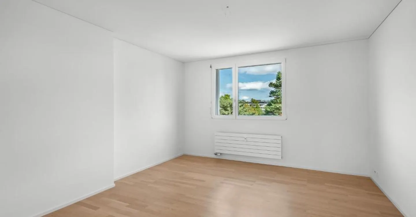 Appartement parfait à Dübendorf avec terrasse sur le toit ! - Photo 4 sur 9