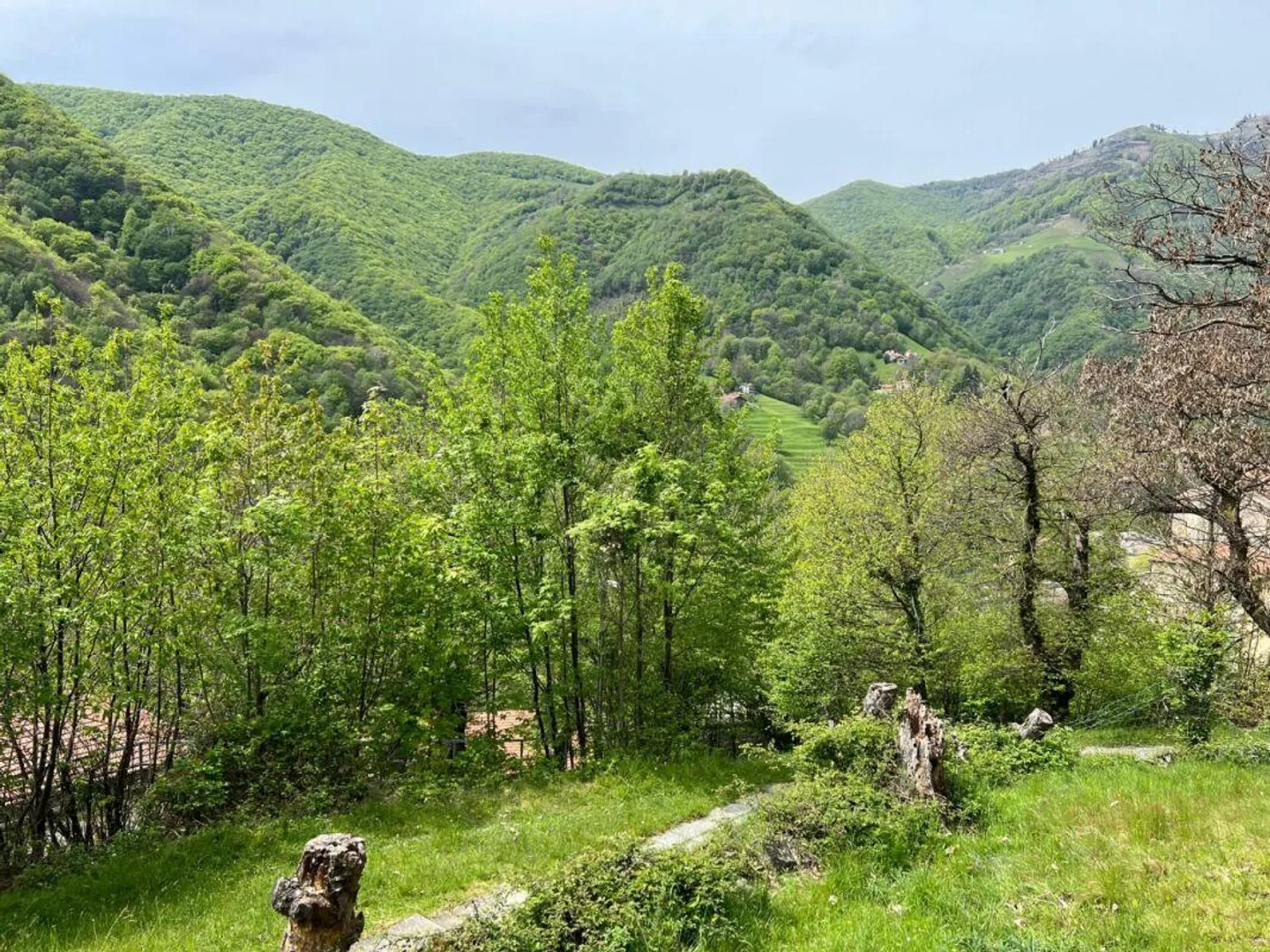 Plot of 1,870 m² in elevated and sunny location - Photo 1 of 2