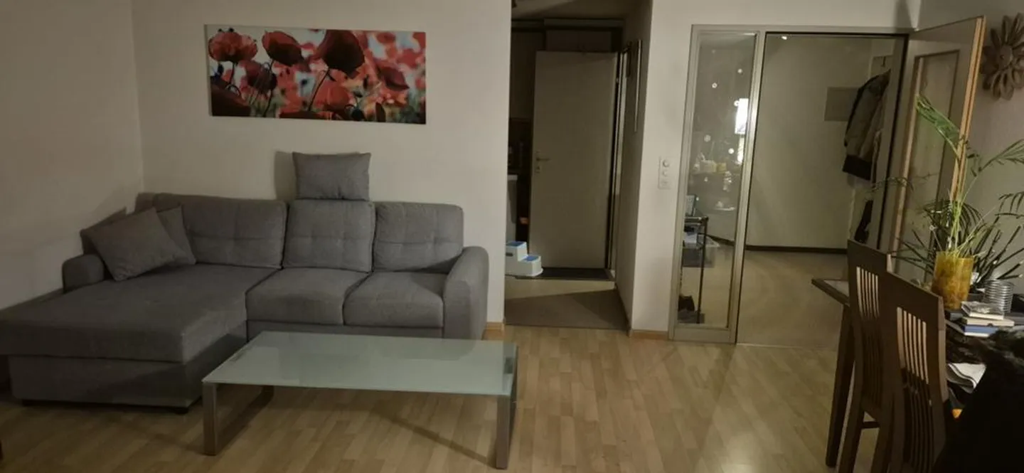 Appartamento affascinante di 2,5 stanze nel cuore di Liestal - Foto 3 di 3