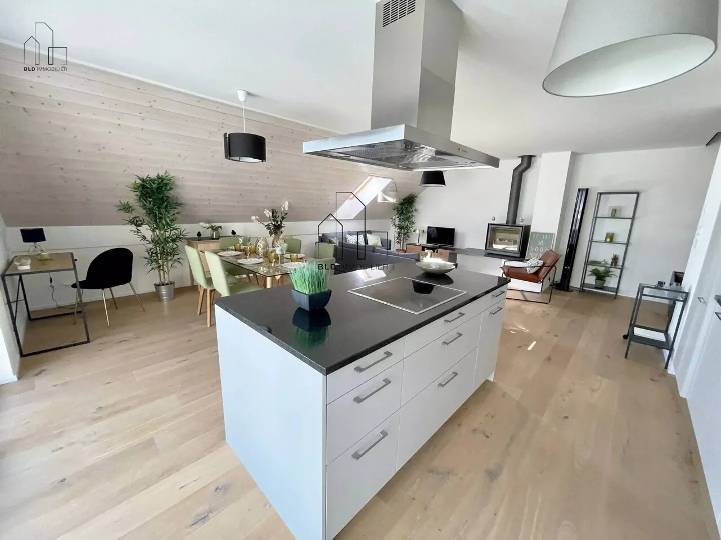 Spacious duplex with 28m2 balcony - Photo 3 of 11