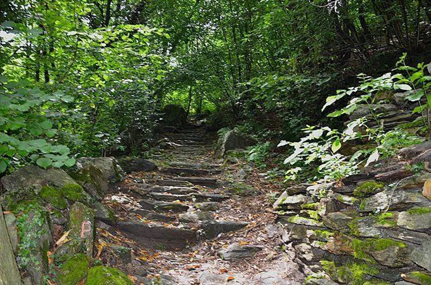 Rustico di 2,5 loc. in mezzo al verde, molto tranquilla e soleggiata, con bella vista - Foto 16 di 26
