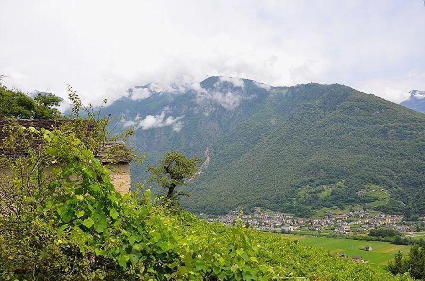 Rustico di 2,5 loc. in mezzo al verde, molto tranquilla e soleggiata, con bella vista - Foto 18 di 26