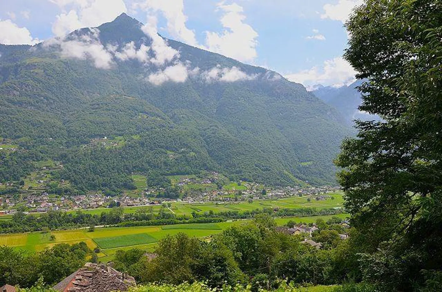 Rustico di 2,5 loc. in mezzo al verde, molto tranquilla e soleggiata, con bella vista - Foto 20 di 26