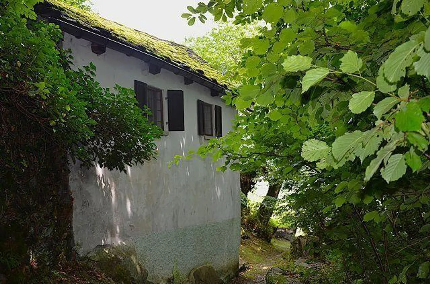 Rustico di 2,5 loc. in mezzo al verde, molto tranquilla e soleggiata, con bella vista - Foto 22 di 26