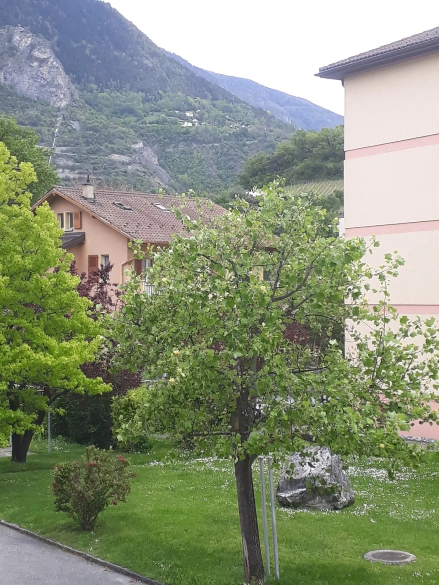 Appartement rénové à Sierre - Photo 11 sur 11
