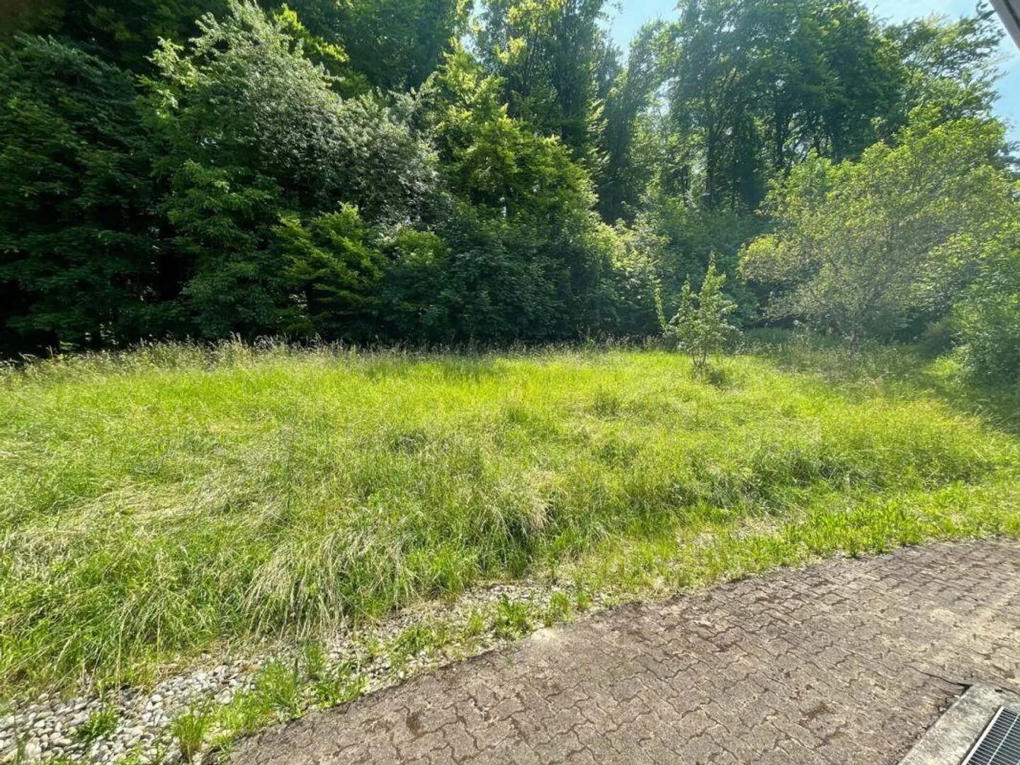 Sonnig, ruhig und mit grossem gedeckten Sitzplatz und Gartenanteil - Foto 13 von 13