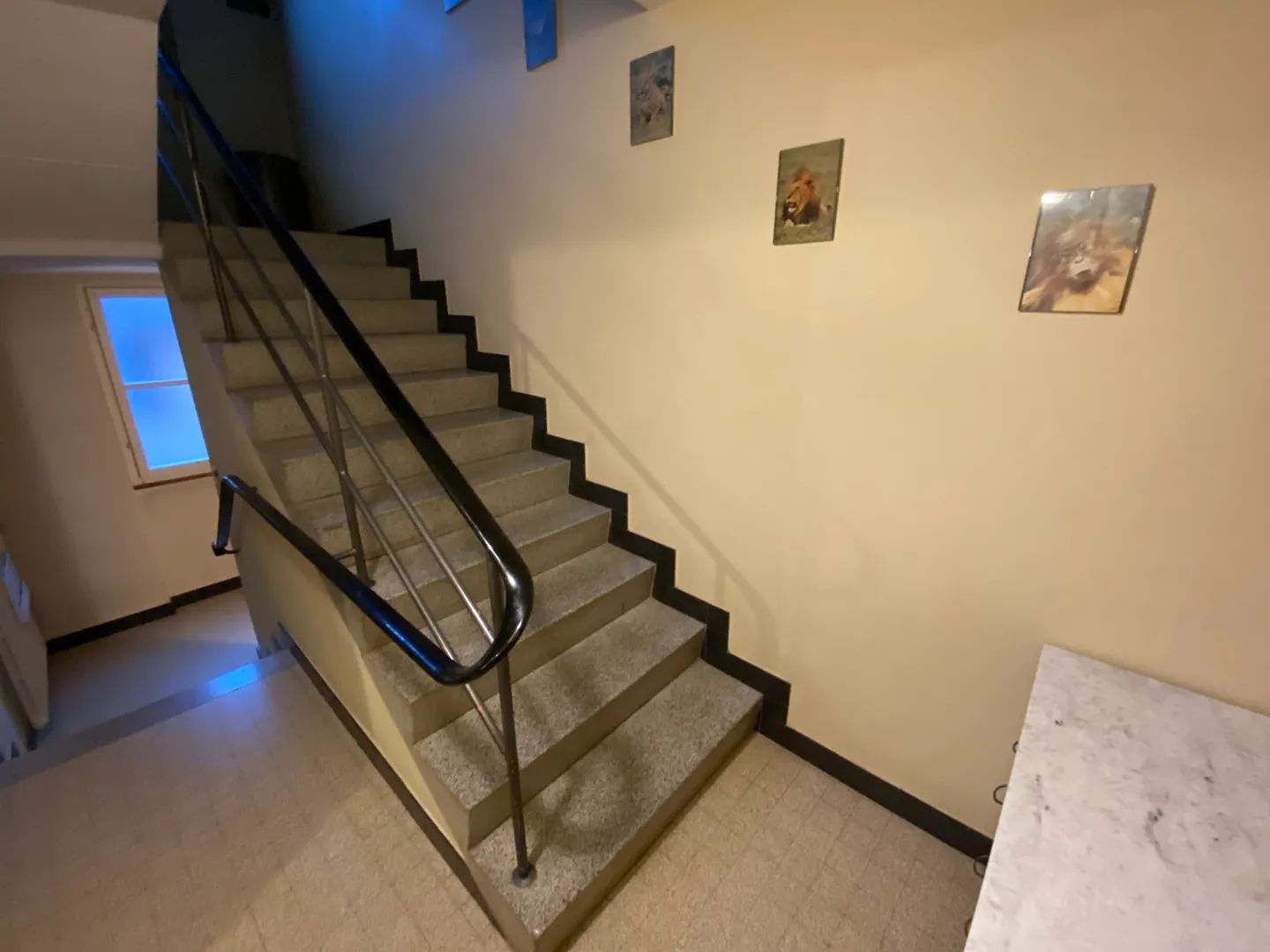 Gebäude mit 2 Wohnungen und einer Gewerbefläche - Foto 12 von 34