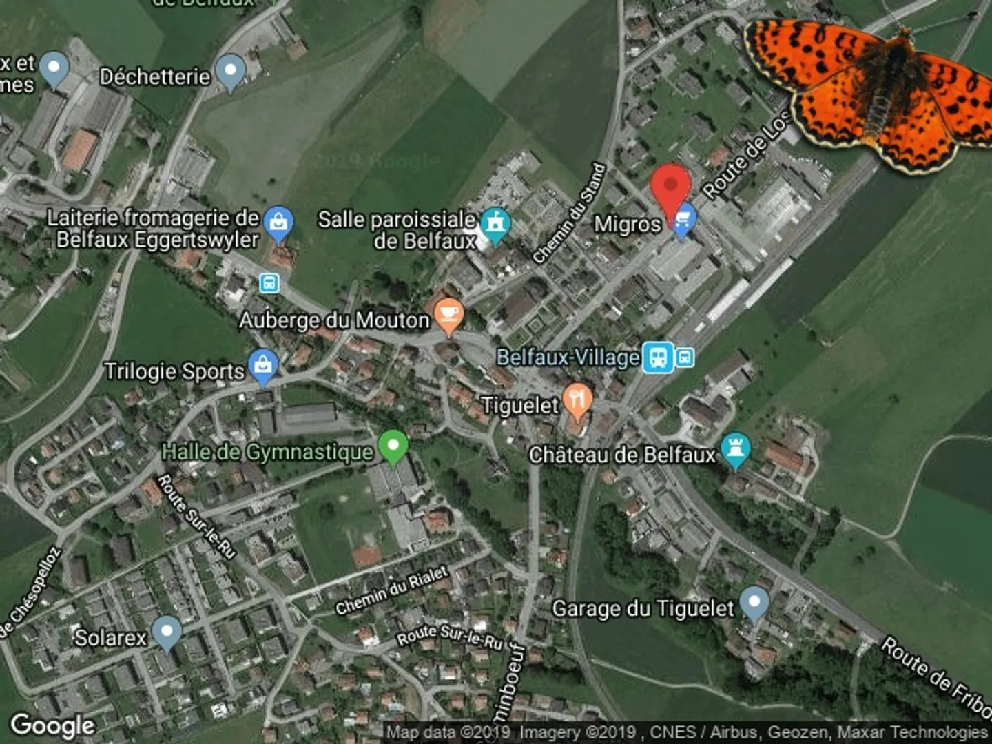 Appartamento 2 ½ locali - Con balcone! - Foto 8 di 8