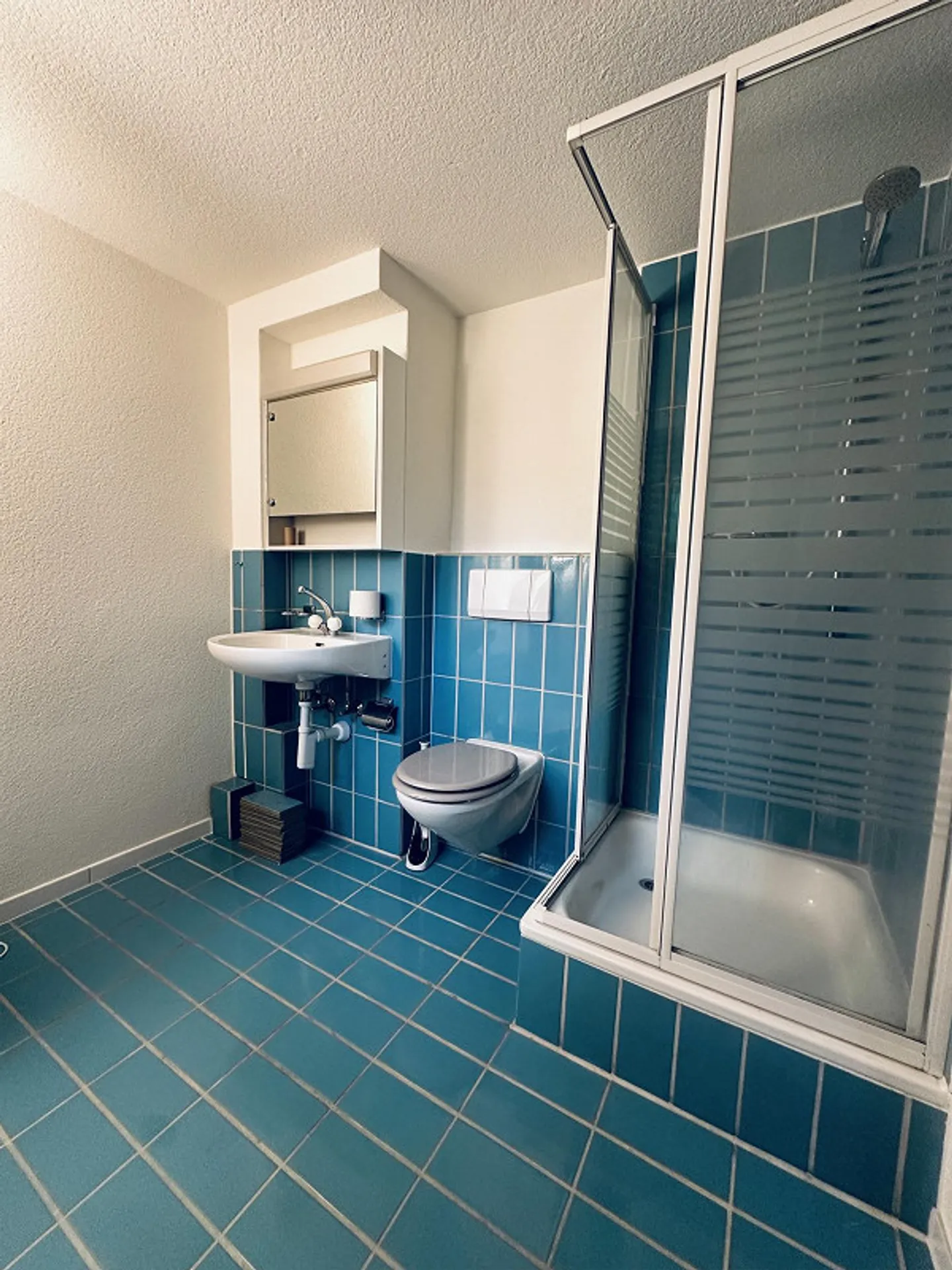 Freshly renovated 3.5 room apartment with garden seating area - Photo 12 of 14