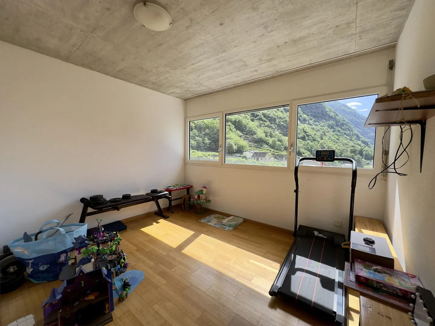SINGLE-FAMILY HOUSE WITH 7 ROOMS AND LARGE GARDEN IN GIORNICO - Photo 8 of 10