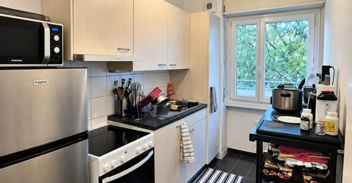 Charming Studio in Meyrin - Photo 2 of 4