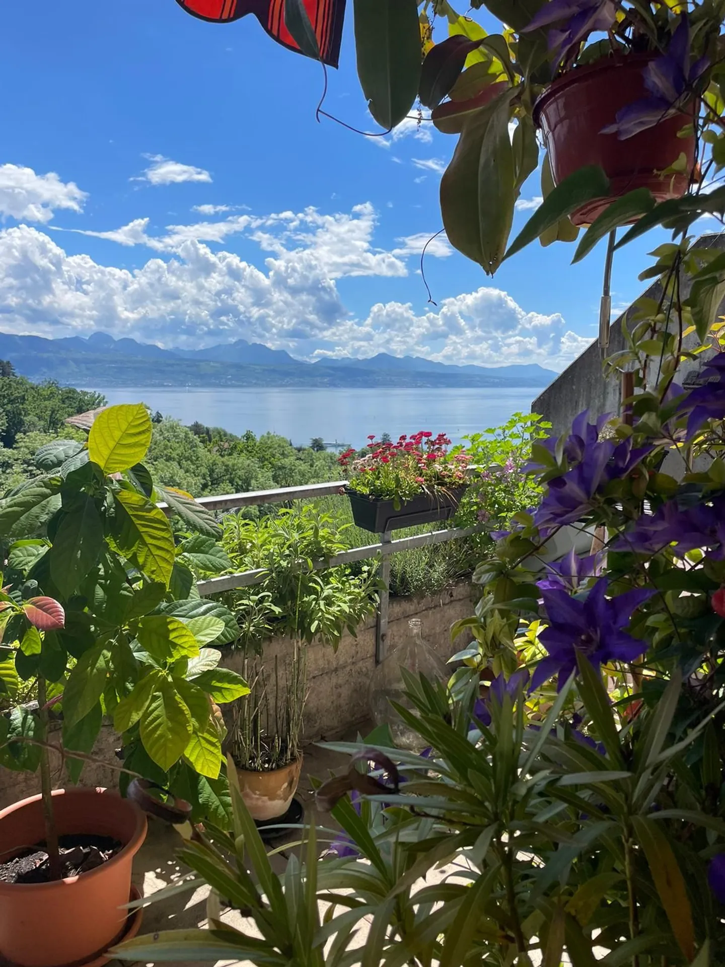 Helles Apartment mit Balkon - Foto 8 von 9