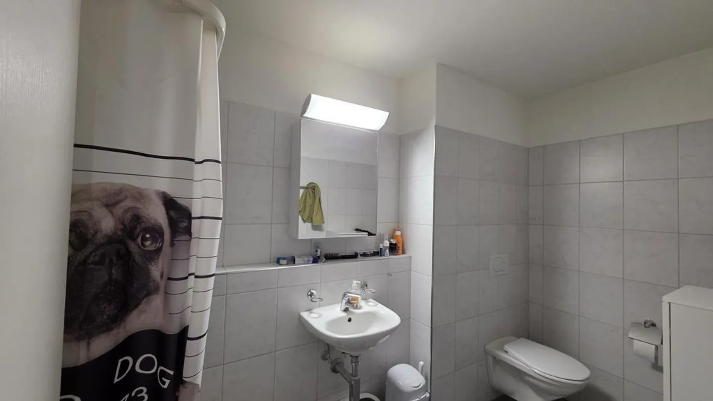 Maisonette apartment in Dättnau - close to nature and modern - Photo 6 of 12