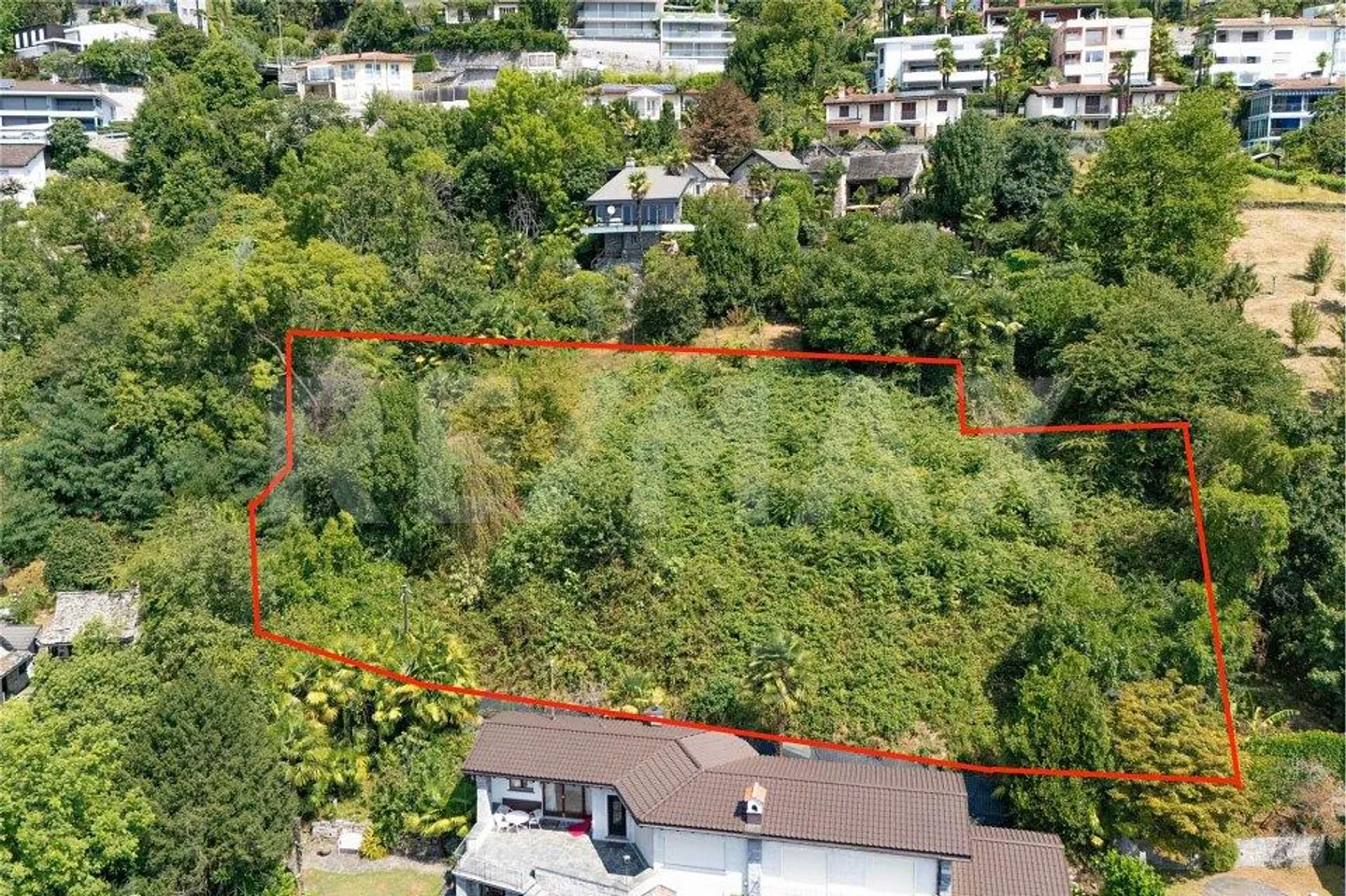 Terrain constructible avec vue sur le lac - Photo 10 sur 13