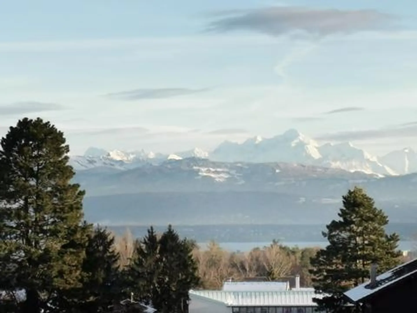 Magnificent 4.5-room apartment in a village house, garden access - Photo 4 of 13