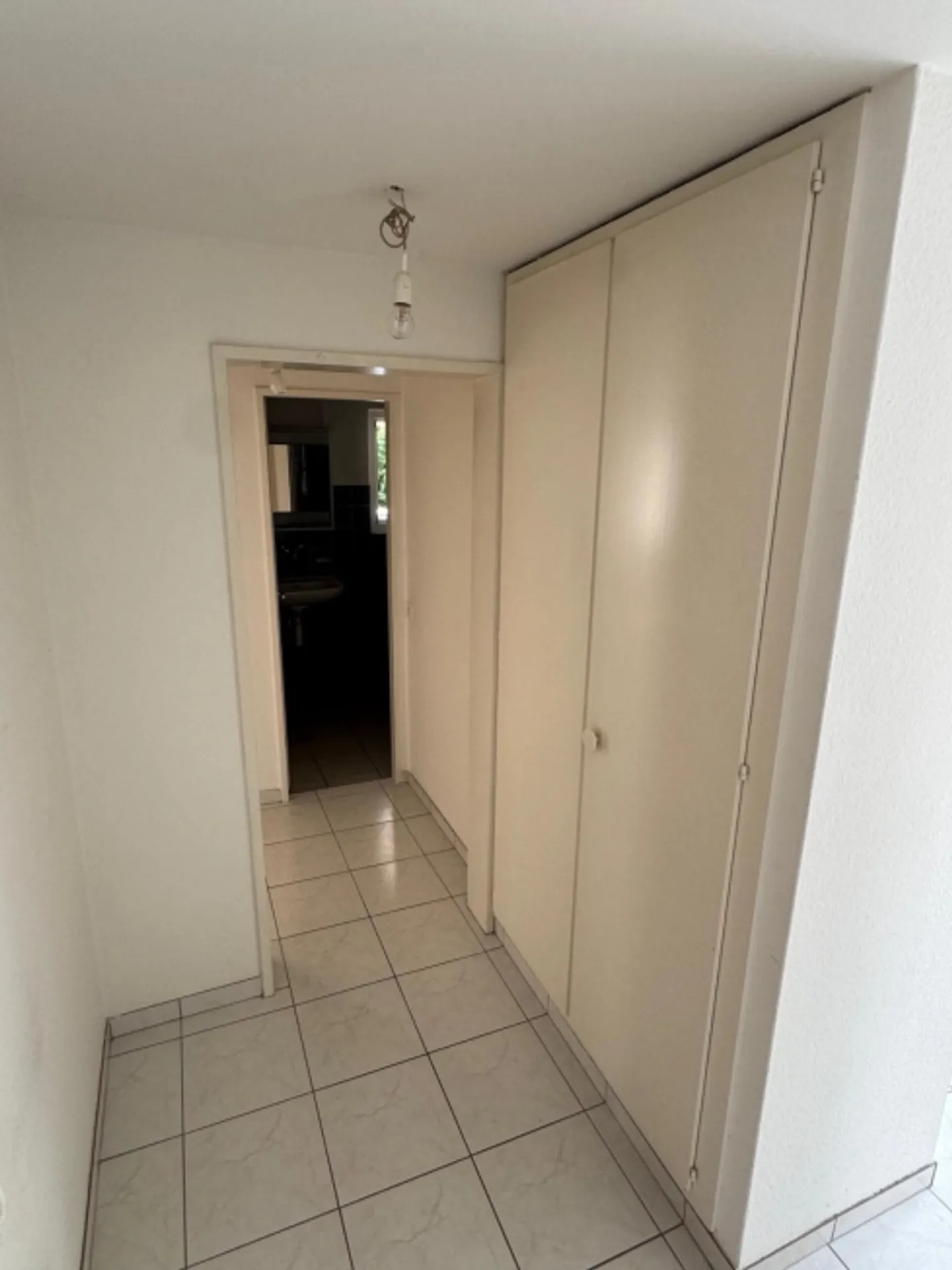 Luminoso appartamento di 2,5 stanze con terrazza sul tetto ad Arlesheim - Foto 6 di 9