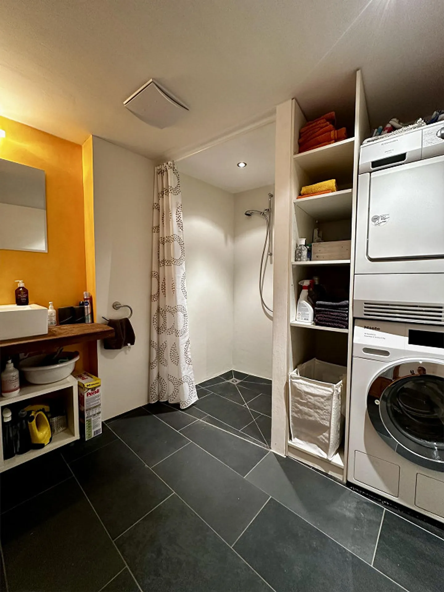 Extraordinary 4.5 Room Attic Apartment in the Heart of Tamins - Photo 11 of 13