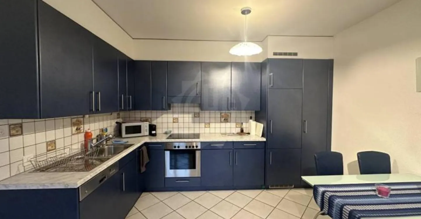 Pleasant Apartment - Plan-les-Ouates - Photo 3 of 7