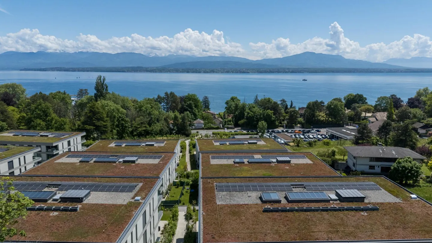 Quartiere dell'Orangerie a Prangins - Incantevole appartamento 3.5 al 1° piano - Foto 2 di 2