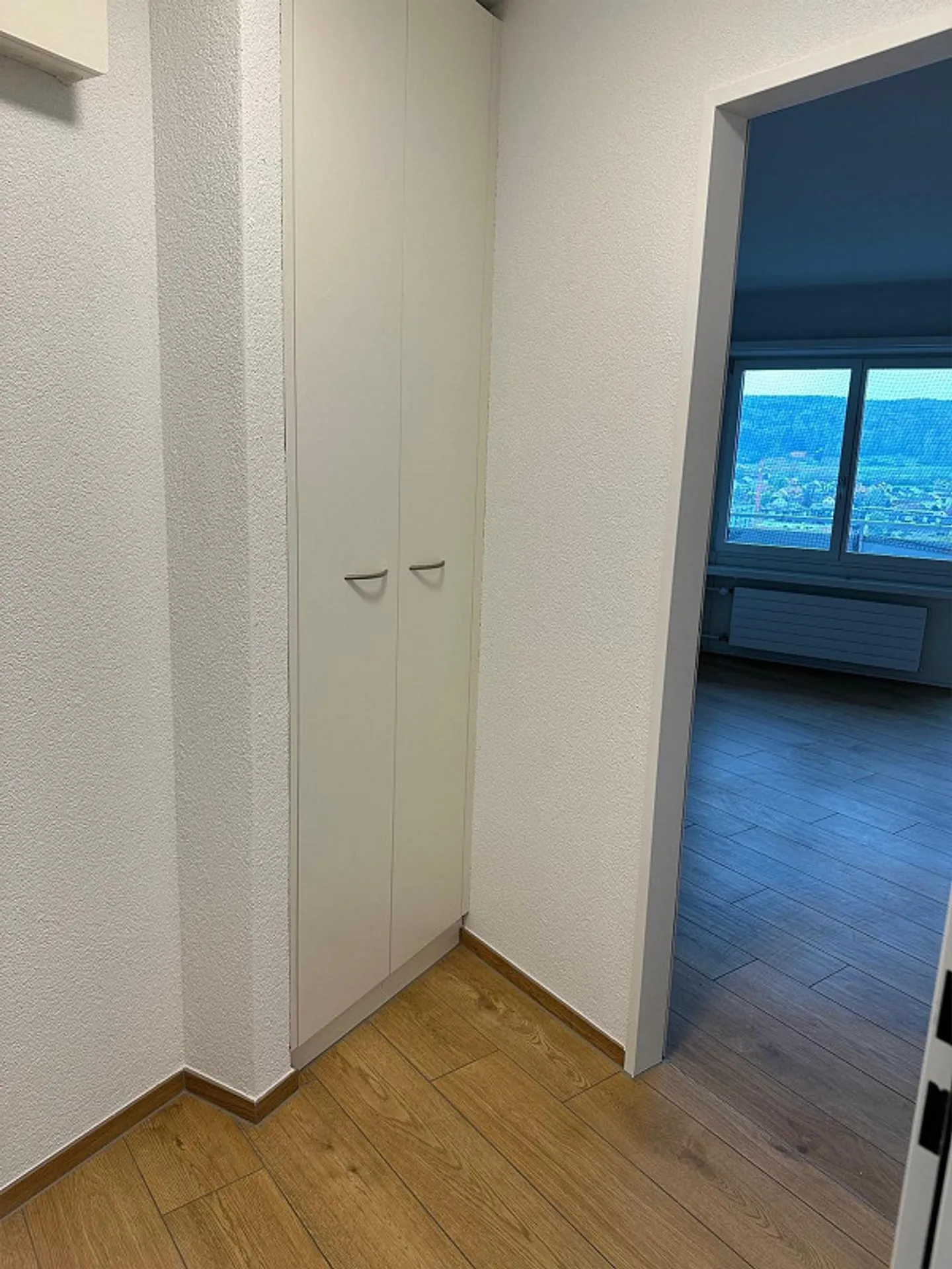 1.0 Zimmerwohnung in Zürich - Photo 4 of 6