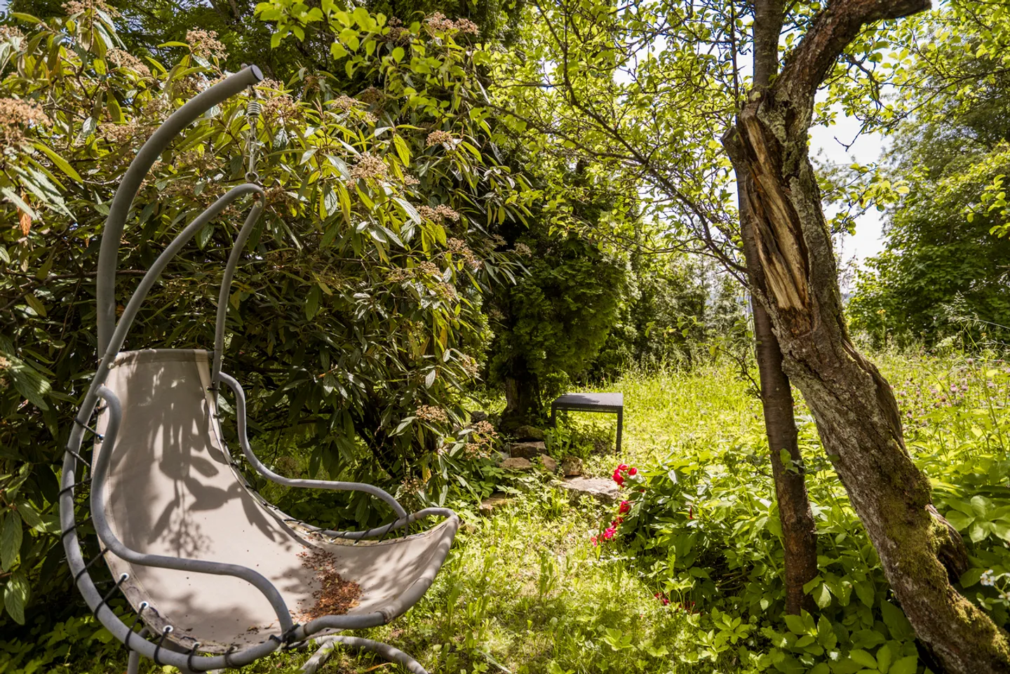 Bâtisse du 19ème de 3 appartements - Photo 22 sur 29
