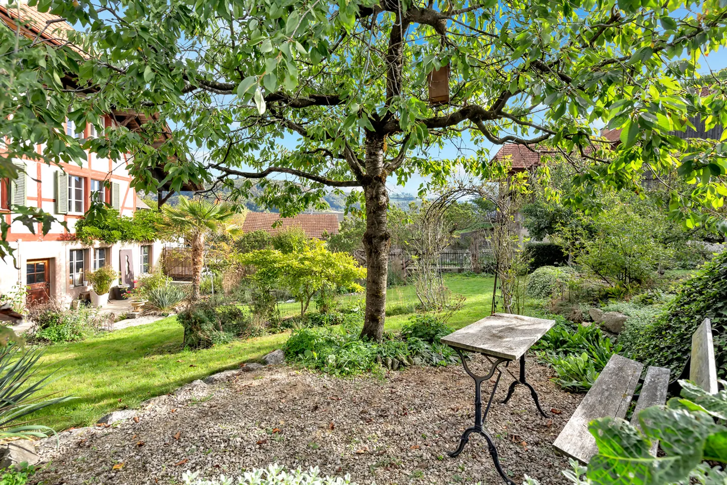 Stylishly renovated gem with historic character - Photo 4 of 11