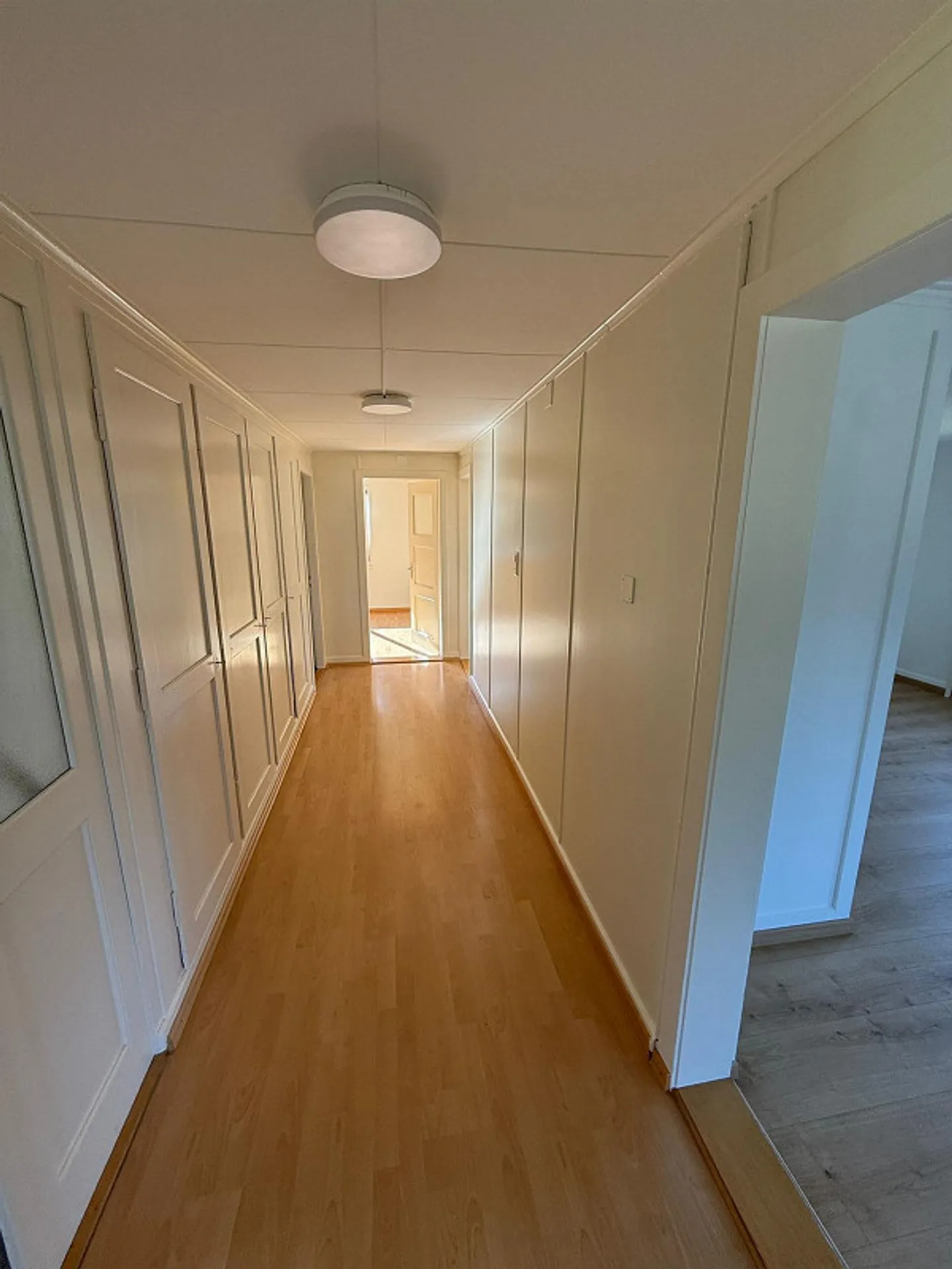 Charming, freshly renovated 3.5-room apartment, very sunny - Photo 8 of 13