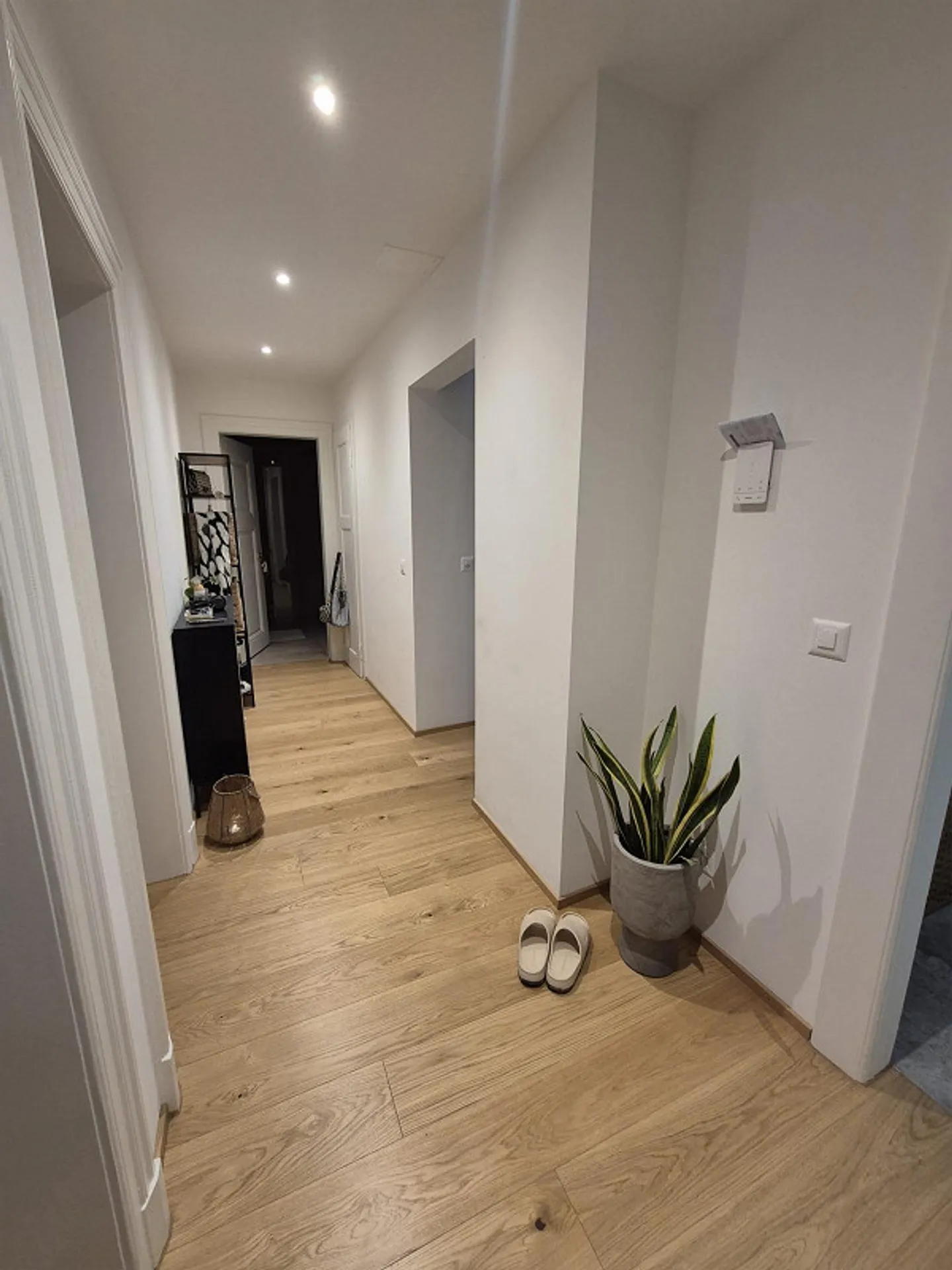 Charmante 3.5 Zi.-Altbauwohnung kernsaniert & zentral - Foto 6 von 7