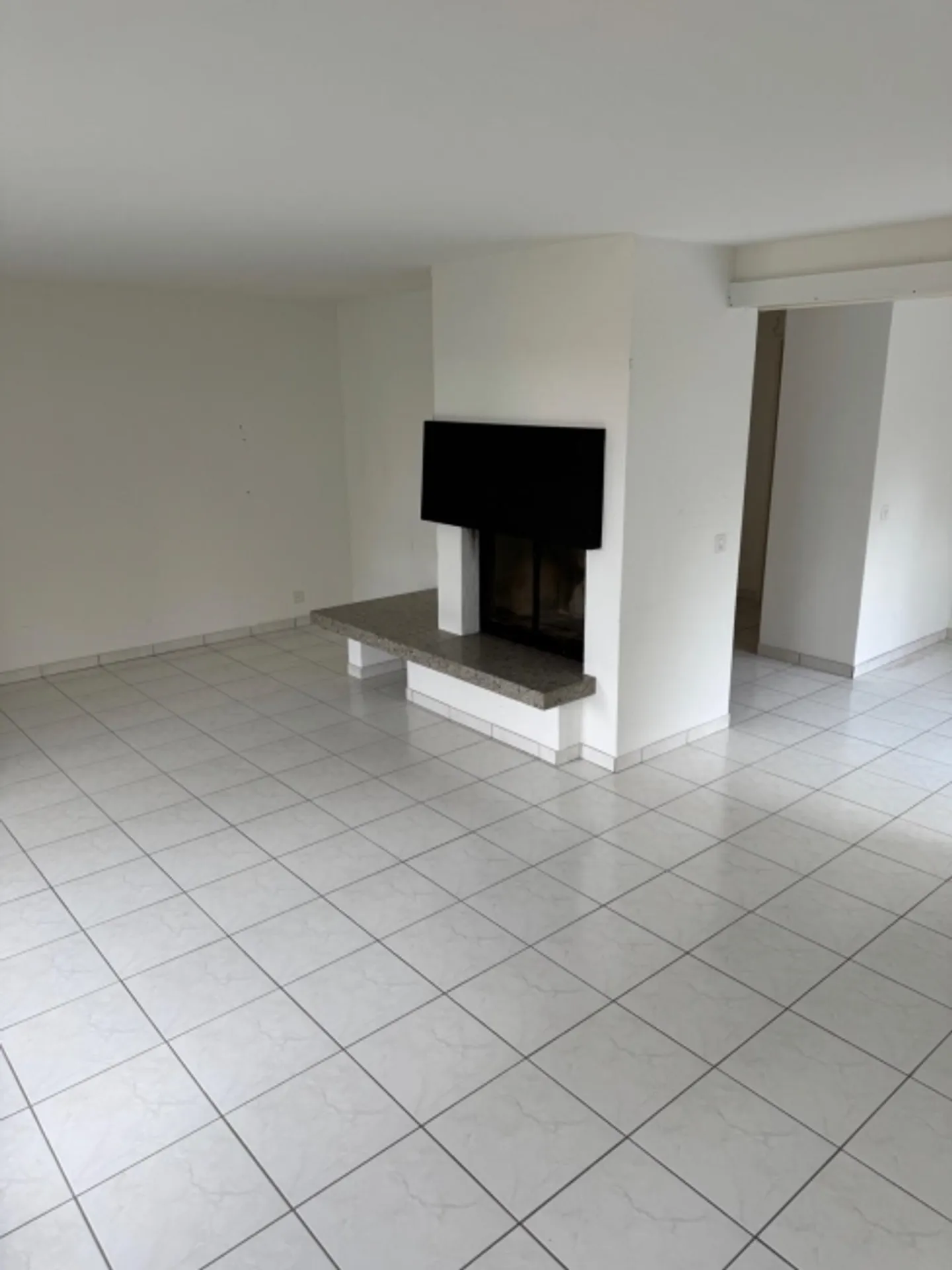 Luminoso appartamento di 2,5 stanze con terrazza sul tetto ad Arlesheim - Foto 3 di 9