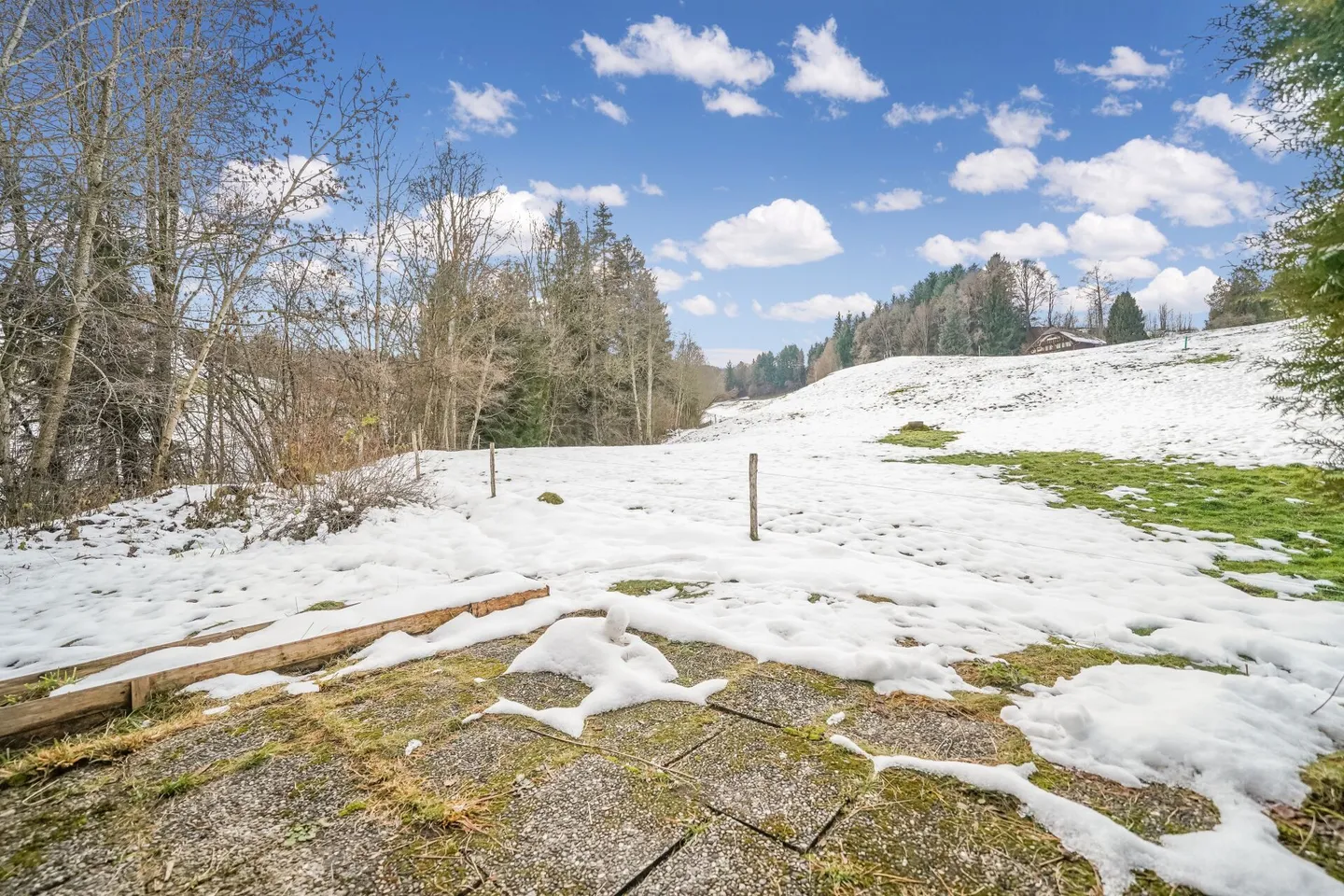 Idyllic Chalet by the Stream, Surrounded by Forest and Nature - Photo 7 of 13