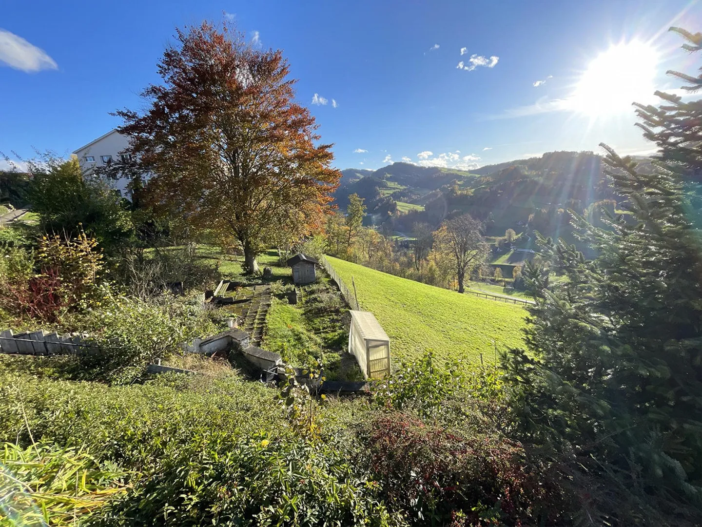 Building Land Mogelsberg - Photo 1 of 1