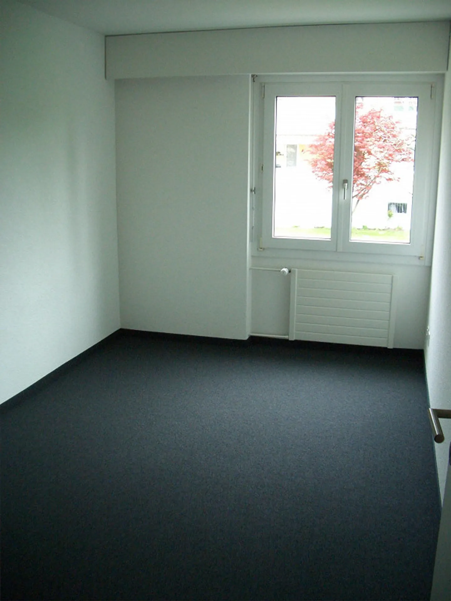 Appartamento 3 1/2 locali cerca un inquilino simpatico. - Foto 9 di 14