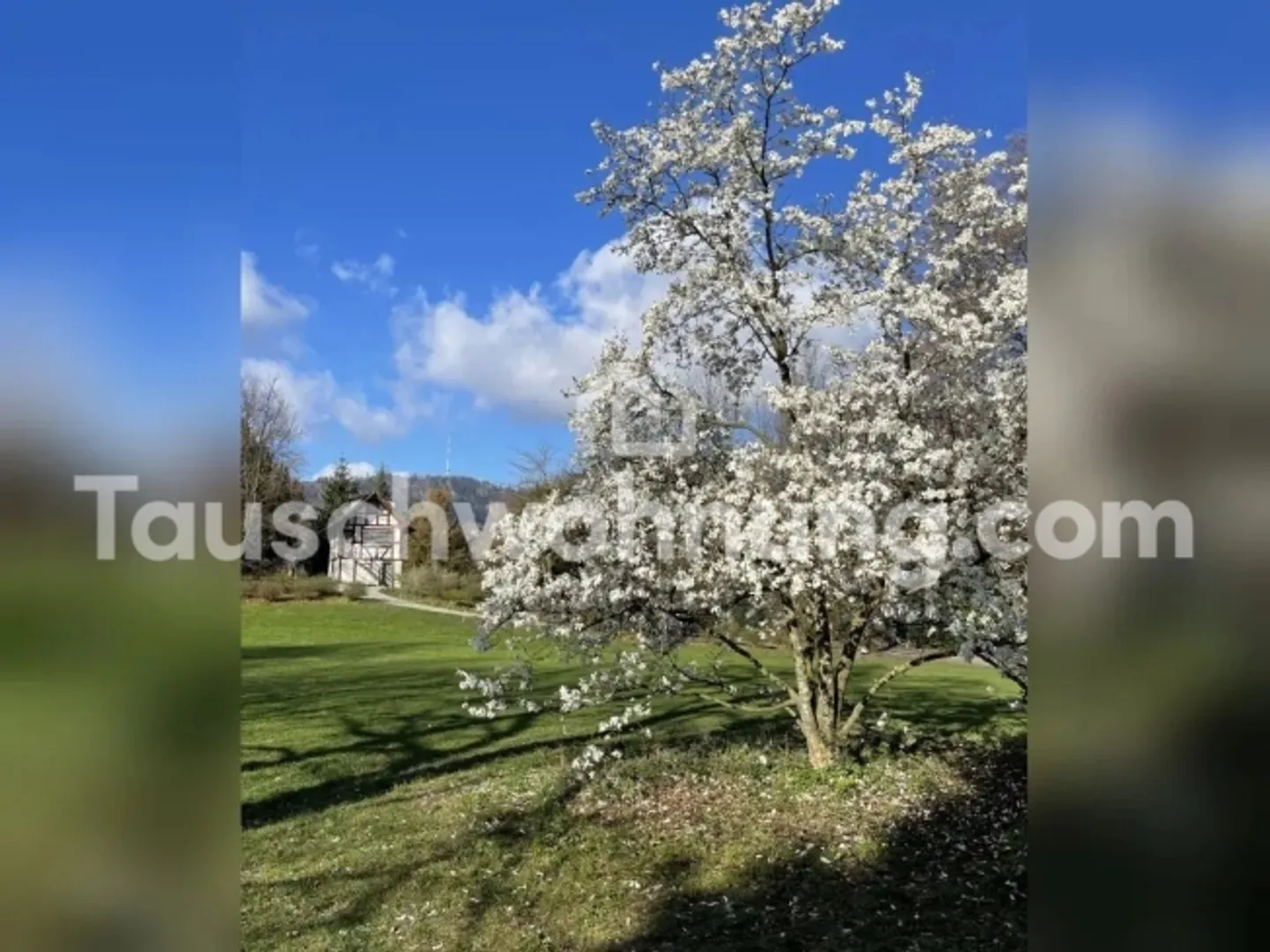 Appartamento in scambio Bellissimo 3.5 vicino al Museo Rietberg per un appartamento più piccolo - Foto 12 di 13