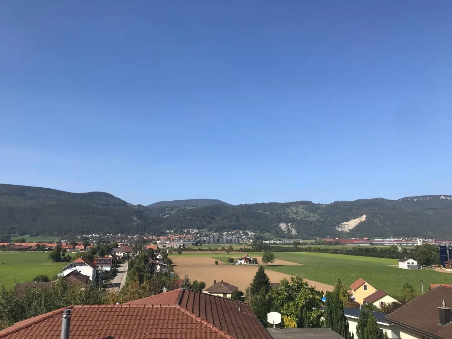 3.5 Room Apartment - Photo 3 of 5