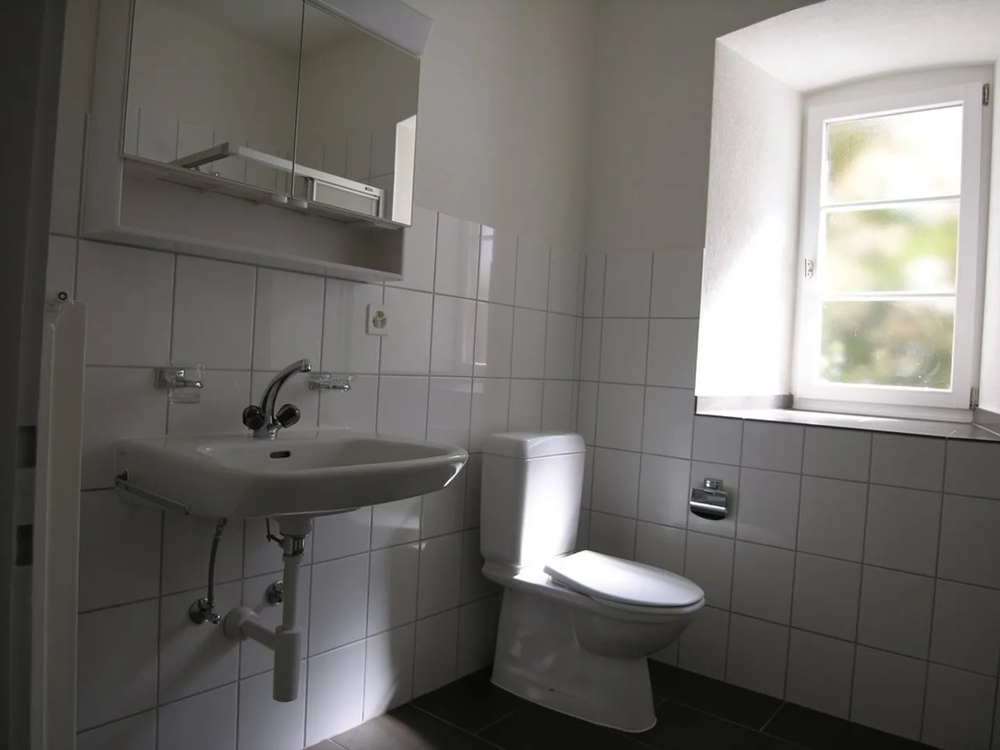 Beautiful 1-room apartment right by Joggeli - Photo 6 of 9