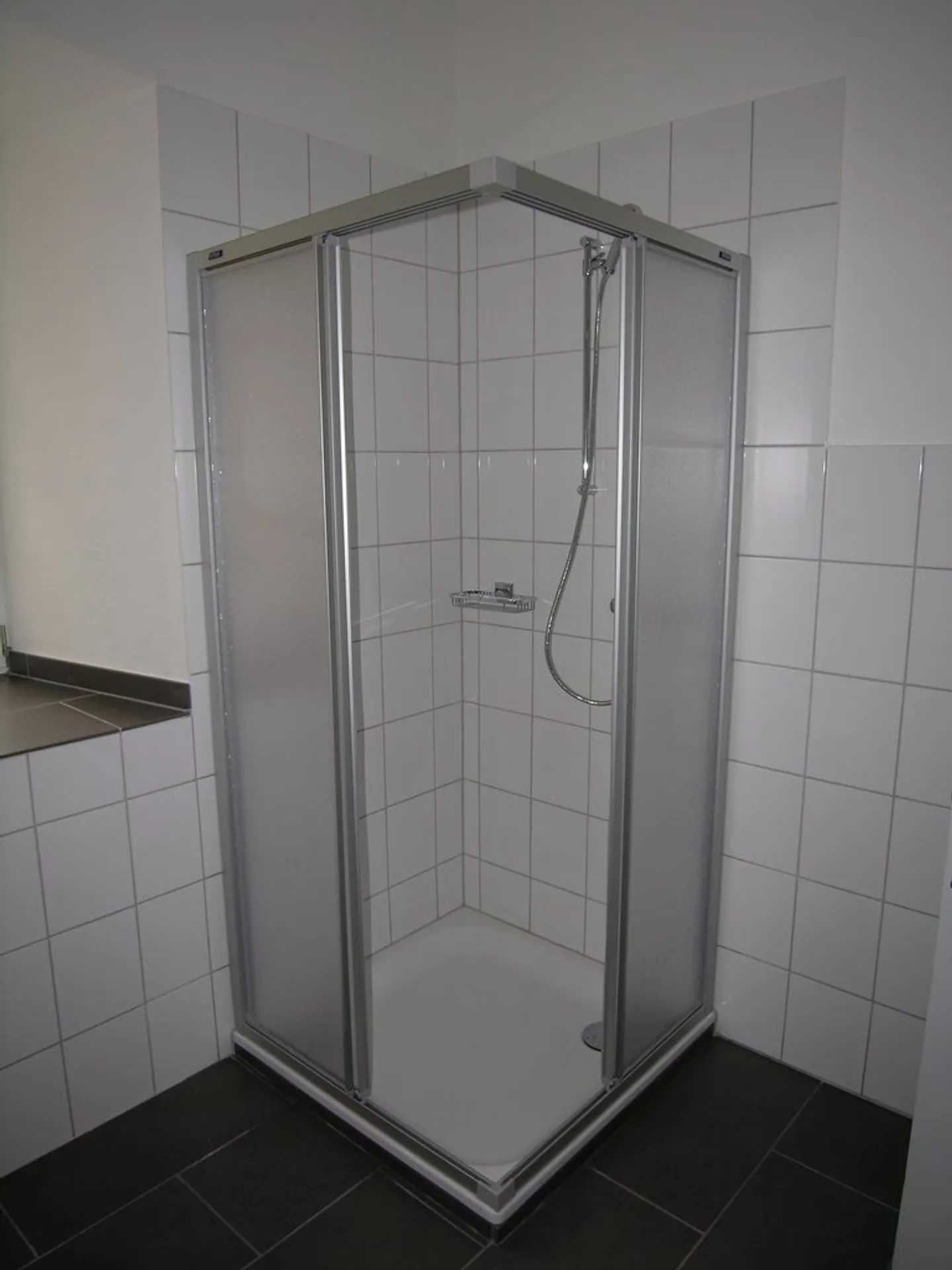 Beautiful 1-room apartment right by Joggeli - Photo 7 of 9