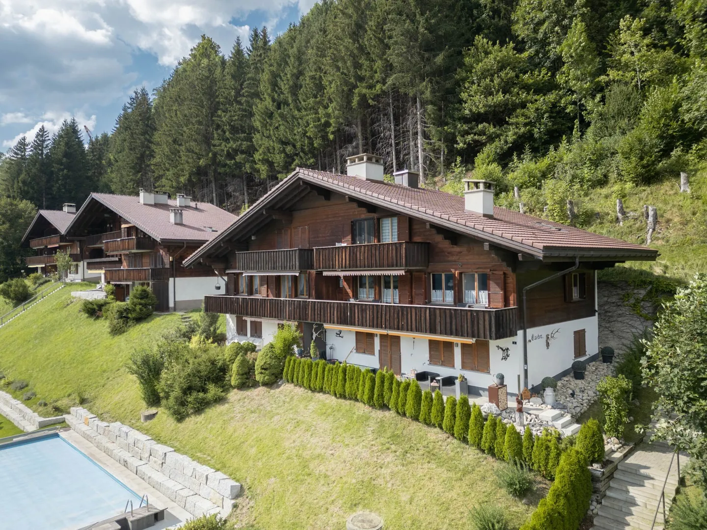 1-Bedroom apartment with fantastic view in Saanen for seasonal rent Summer 2026 - Photo 2 of 9