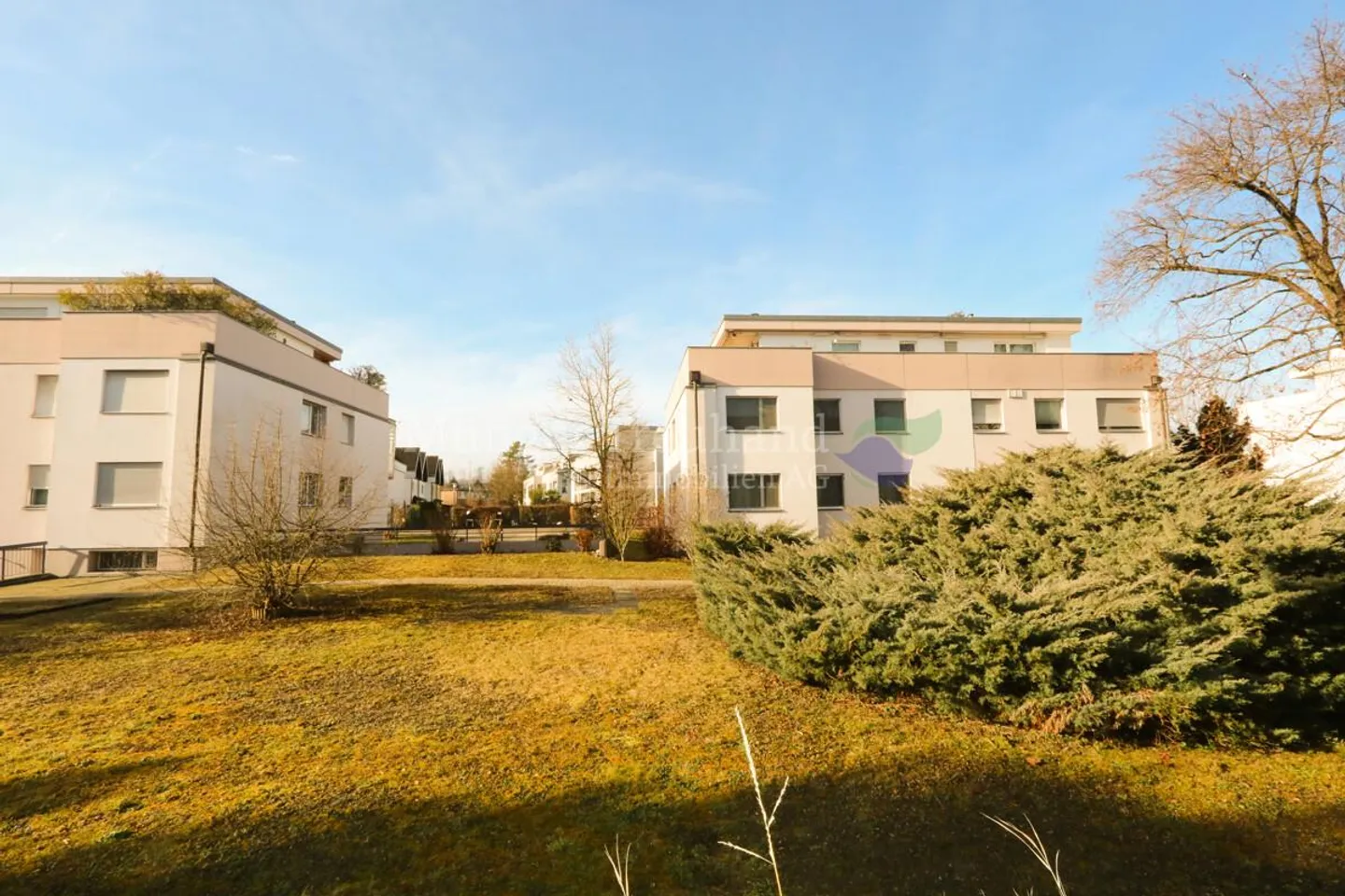 Sole del mattino e della sera: Luminoso appartamento di 2,5 stanze con stanza hobby - Foto 11 di 13