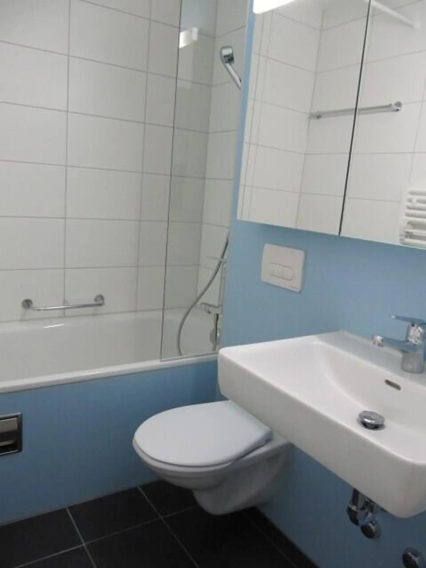 Appartement 3 1/2 pièces avec balcon et magnifique soleil du soir - Photo 3 sur 6