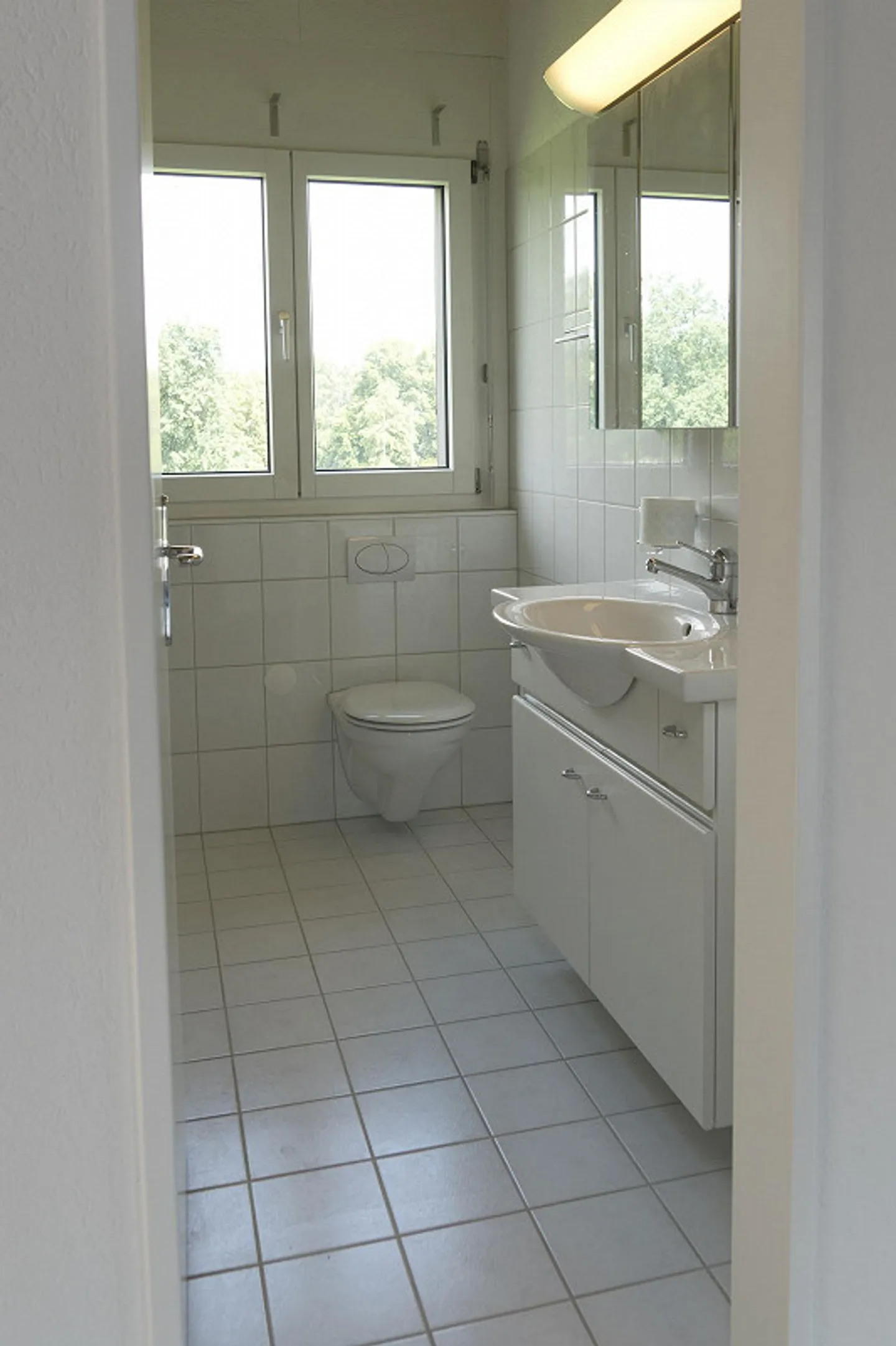 Single-family house in Steinhausen (Canton Zug) - Photo 29 of 30