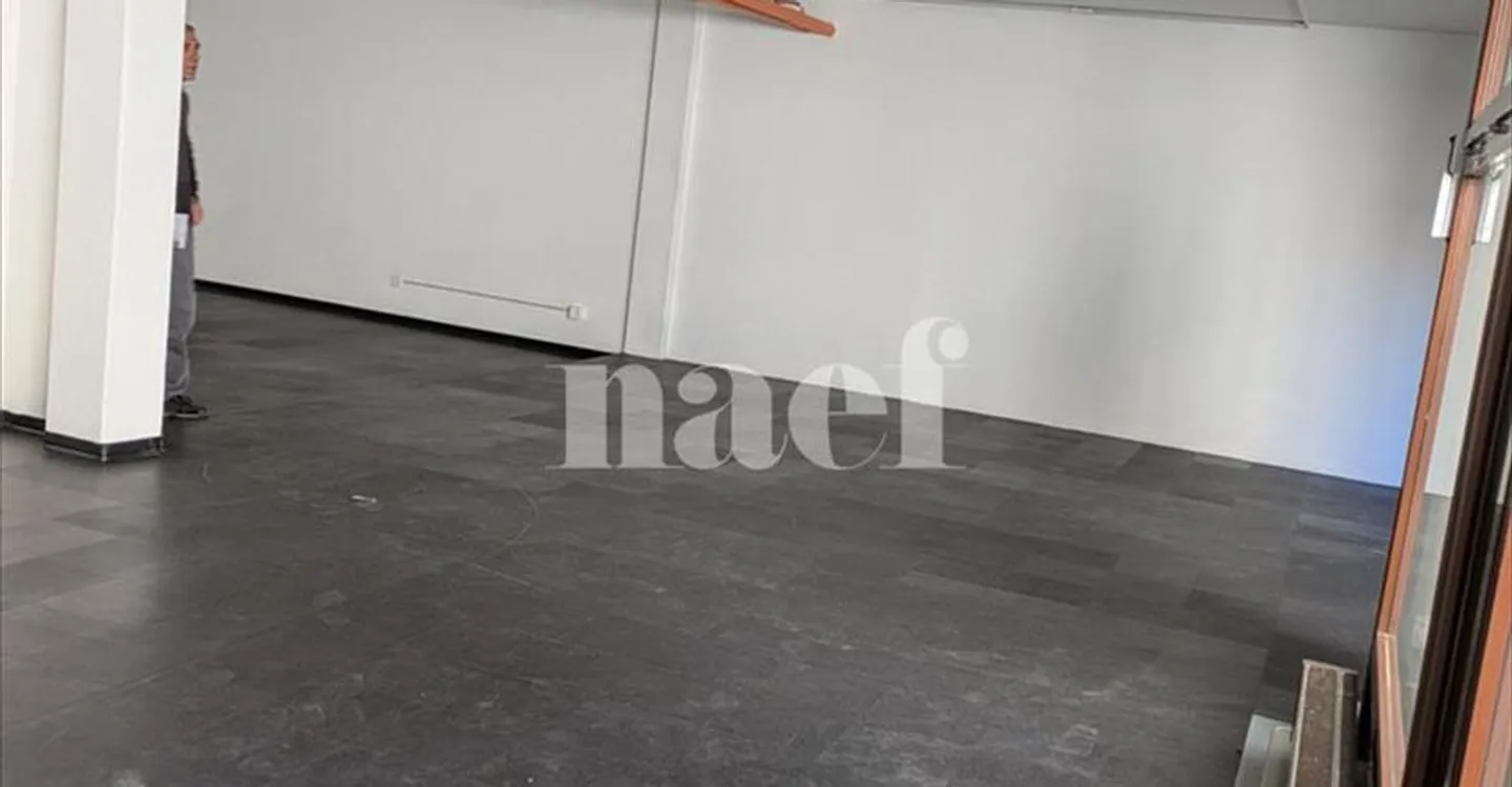 Mixed-use building for rent - Photo 1 of 13