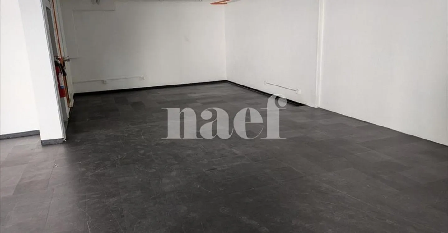 Mixed-use building for rent - Photo 3 of 13