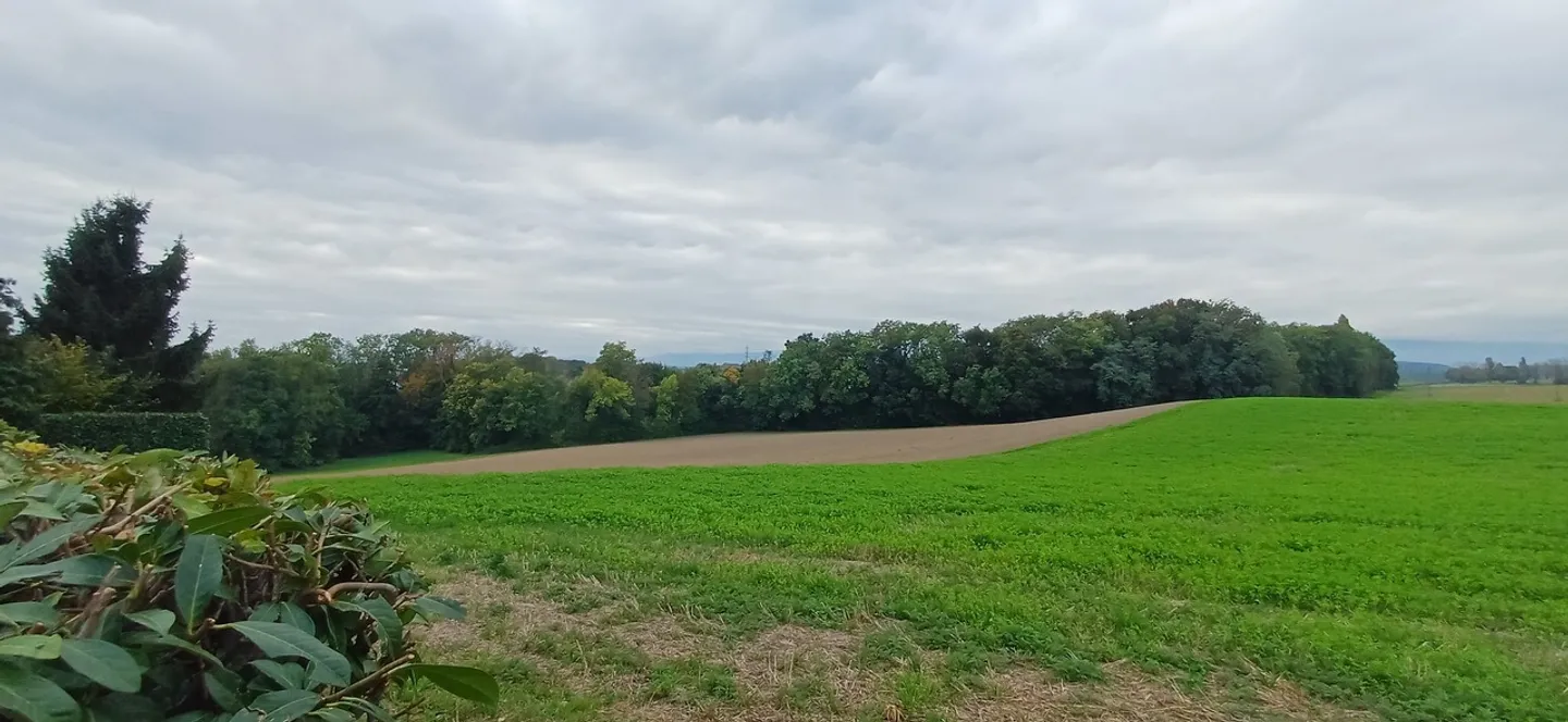 Charmante Villa Individuelle - Photo 3 sur 4