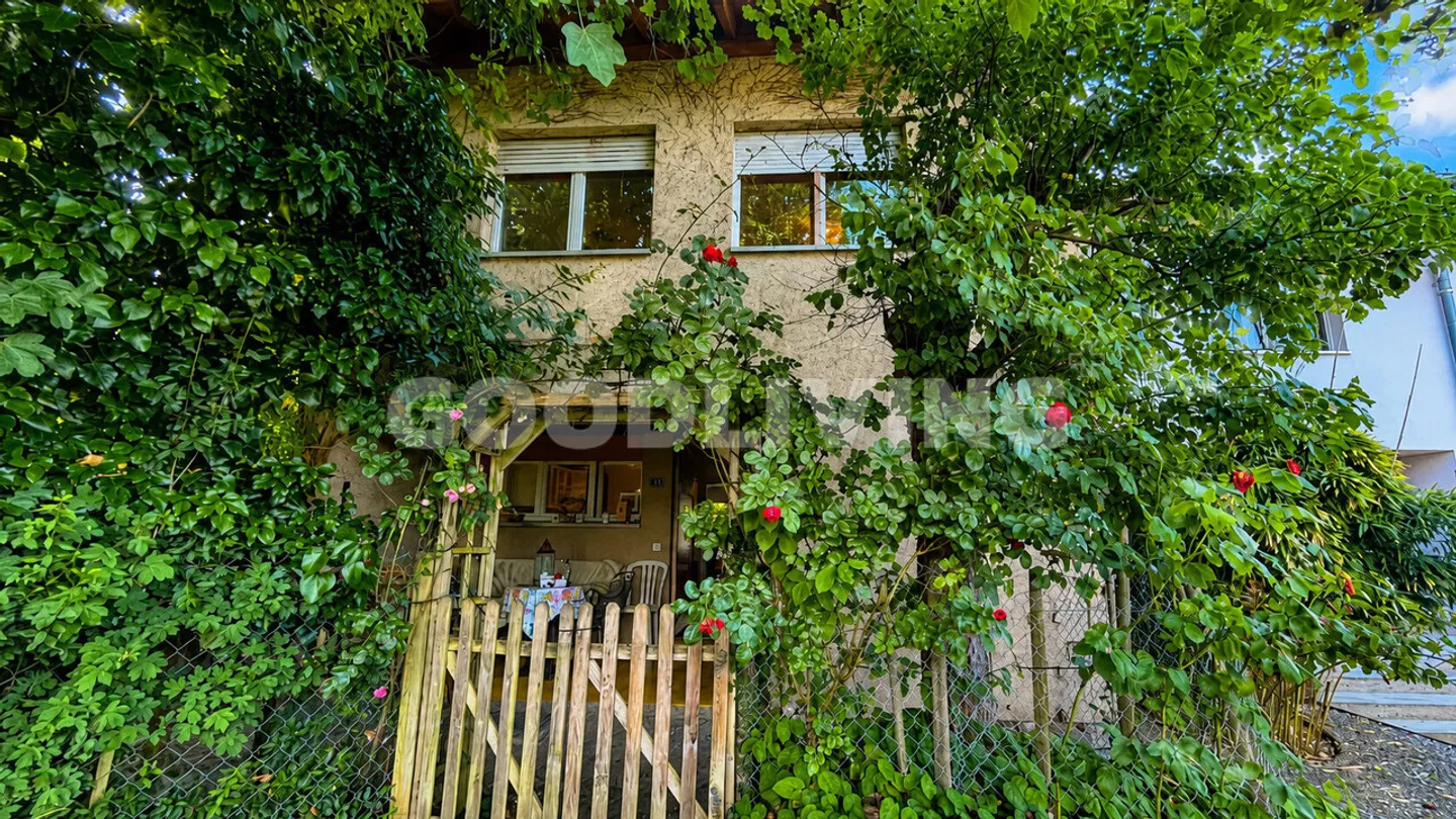 Living in the Green with Development Potential - Photo 1 of 4
