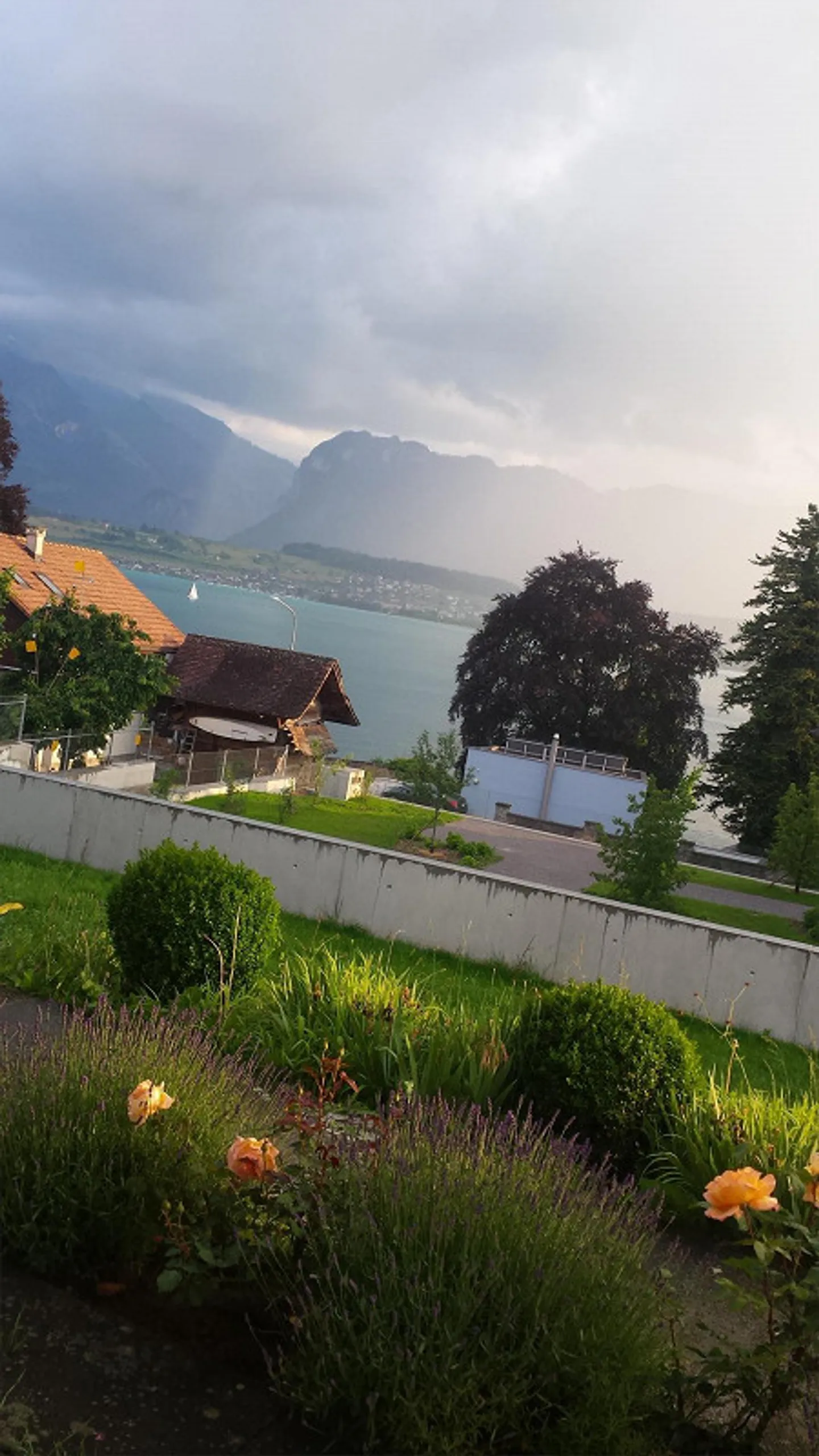 Helle Wohnung mit Seeblick und Terrasse - Foto 2 von 10